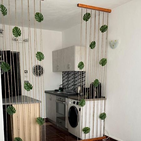Apartmán Garsoniera Saturn Mangalia Exteriér fotografie